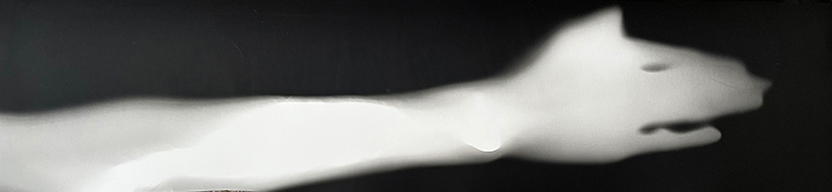 photogram of an arm, the hand appears as wolfs head